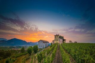 tagAlt.Berlucchi Vista Castello cover