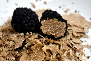 tagAlt.Black Truffle Shavings Cover