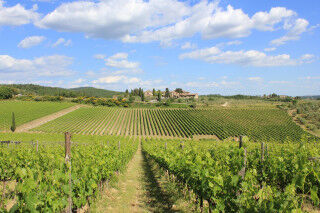 tagAlt.Rocca delle Macìe winery estate Cover