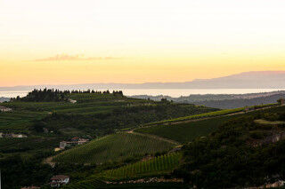 tagAlt.Verona hills wine country Cover