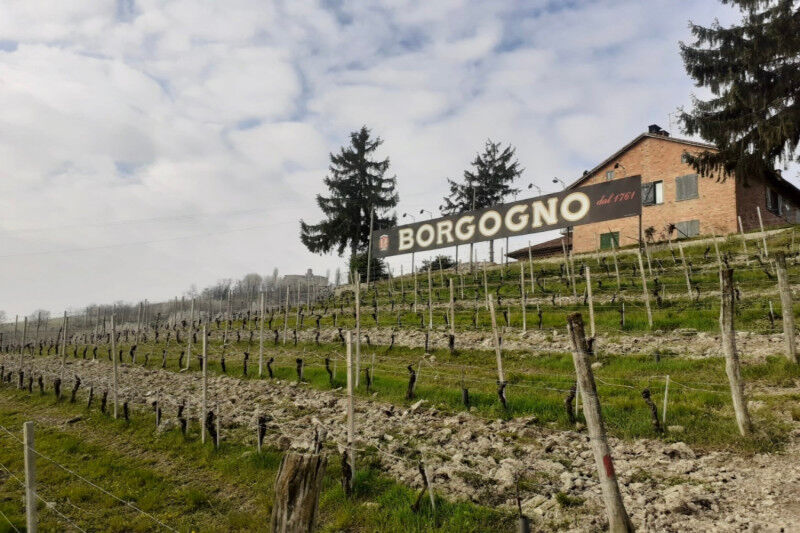 tagAlt.Borgogno Cascina Liste Cover