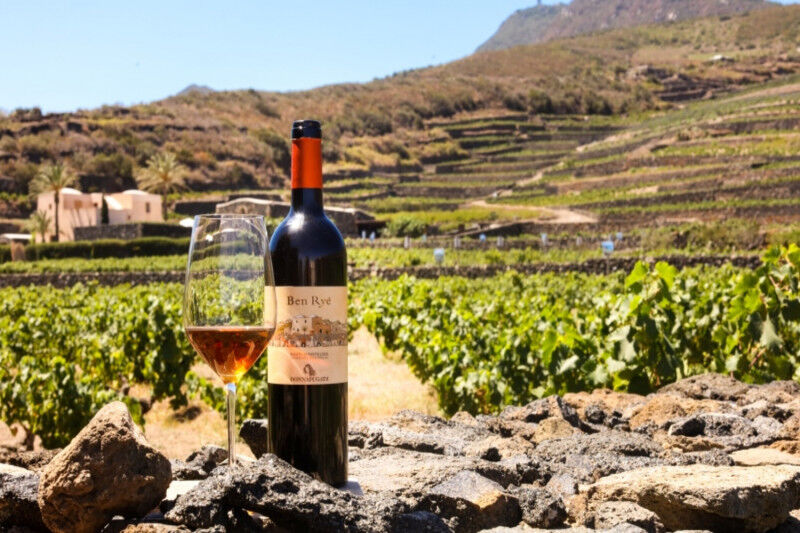 tagAlt.Donnafugata Ben Ryè Calice vineyards Cover