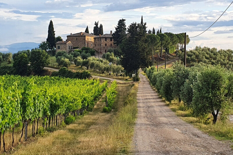 tagAlt.Rocca delle Macìe Fizzano Borgo Cover