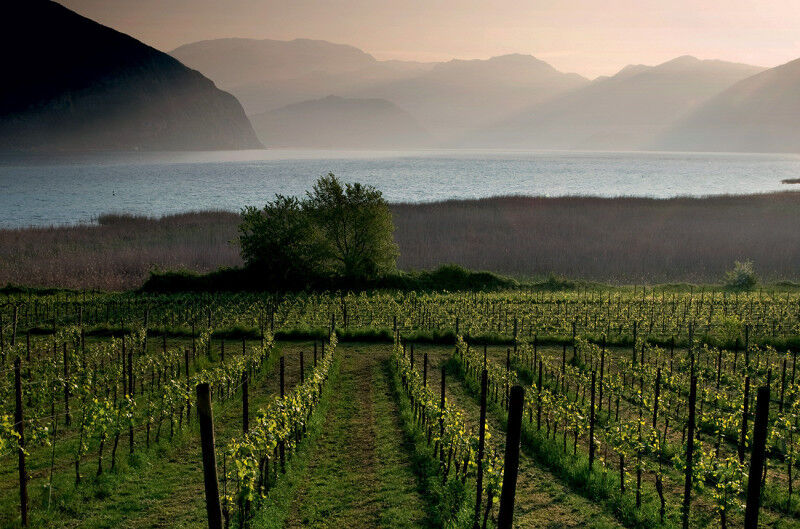 tagAlt.franciacorta   landscape