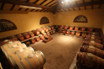 tagAlt.Capezzana Vinsantaia cellar 5