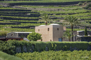 tagAlt.Donnafugata Pantelleria Khamma winery 8