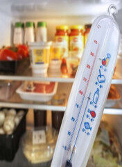 tagAlt.Fridge temperature taking 6