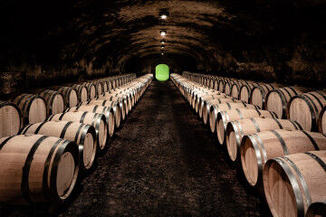 tagAlt.Kellerei St Michael aging cellar white wines 5