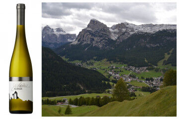 tagAlt.Kerner white Alto Adige wines collage 1