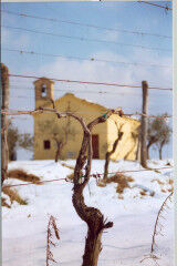tagAlt.Maiolati Countryside Winter Church and Snow 5
