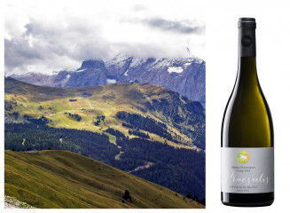 tagAlt.Praesulis white Alto Adige wines collage 1