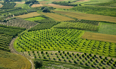 tagAlt.Roero Piedmont vineyards drones 5
