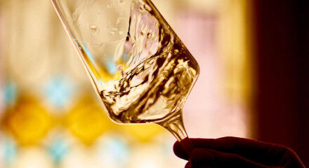 tagAlt.Swirling glass Tasting Champagne 5