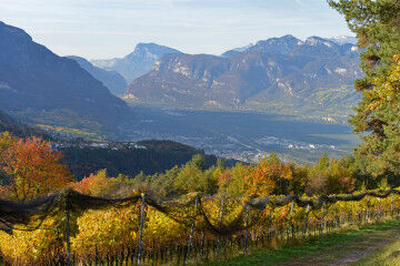 tagAlt.Vineyards high up mountains Franz Haas 7