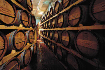 tagAlt.White barrels Cantina Masciarelli 2
