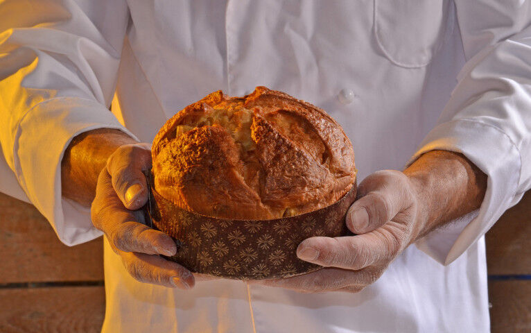 panettone_20101010