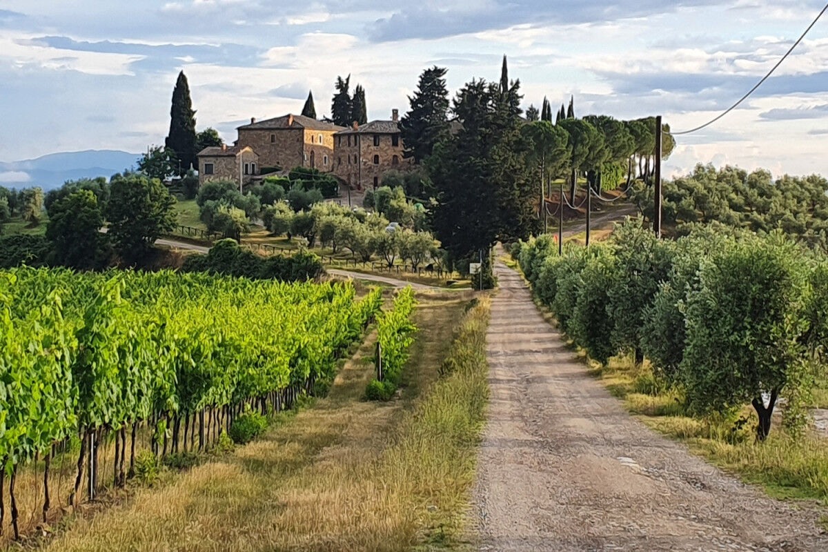 tagAlt.Rocca delle Macìe Fizzano Borgo Cover