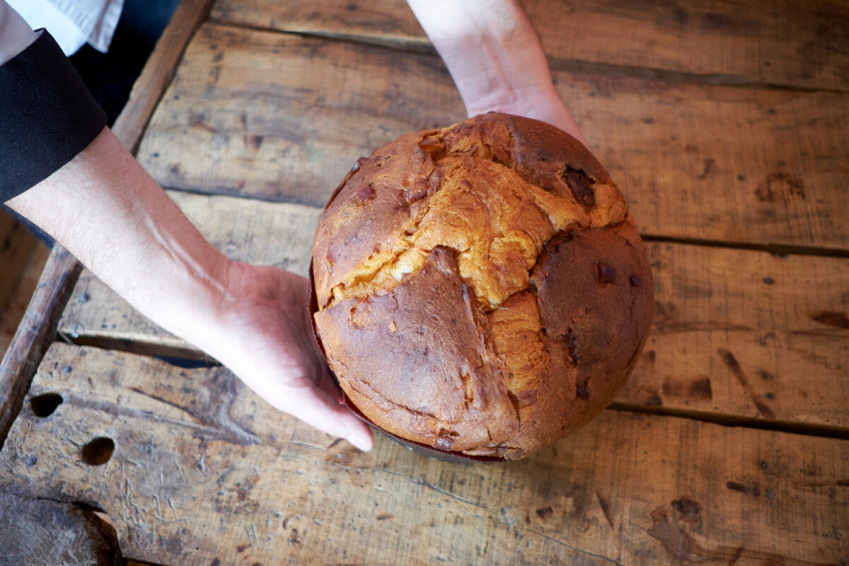 tagAlt.Sustainable Filippi Panettone Holiday Cake cover
