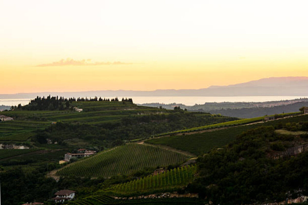 tagAlt.Verona hills wine country Cover