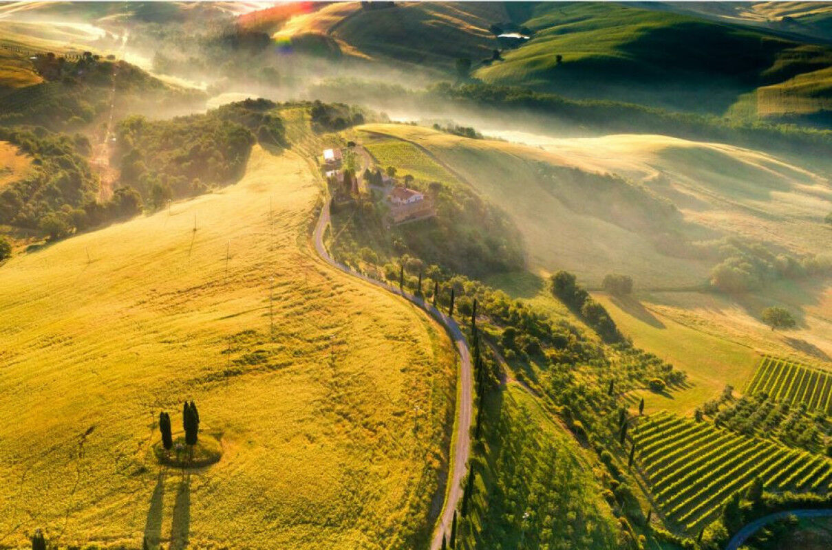 tagAlt.What is a Super Tuscan