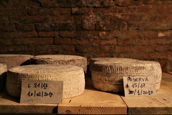 cheese-pecorino-pienza-orcia-tuscany-cave