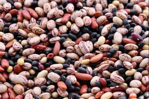 eat legumes as good vegetarian protein source