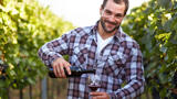 man pouring class of lambrusco in a vineyard