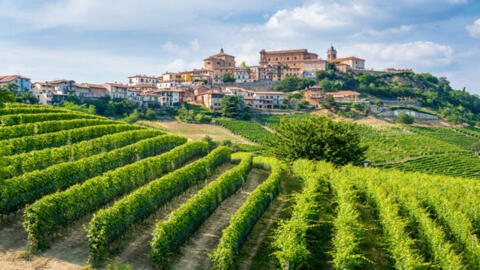 langhe-piedmont