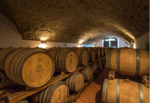 wooden barrels in tuscan wine cellar