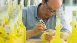 man labelling limoncello