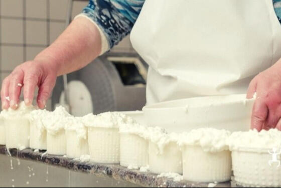 mozzarella-ricotta-cheese-paestum