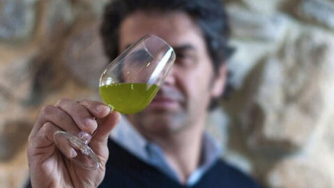 olive-oil-tuscany-mama-florence