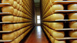 room filled with shelved wheels of cheese