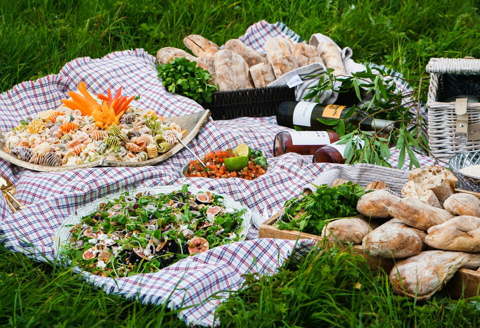 picnic-new
