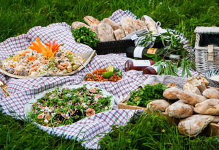 picnic-new