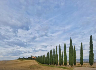 tuscan-countryside