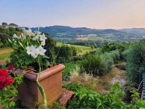 View-from-sara-cooking-class