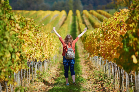 person stood in the middle of a tuscan vineyard