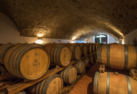 wine cellar with wooden barrels