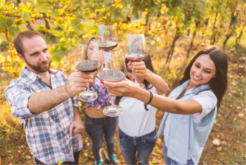 group cheers with red wine at a vineyard