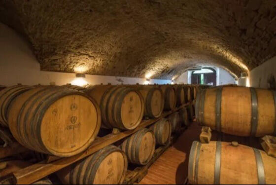winery-cellar-chianti-wine-florence-tuscany