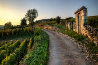 tagAlt.Grand Cru Road scenery Cover