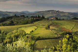 tagAlt.Lazio wine region countryside Cover