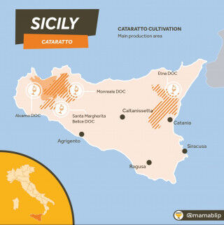 tagAlt.cataratto