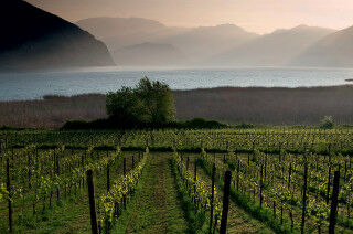 tagAlt.franciacorta   landscape