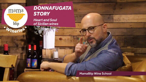 tagAlt.Donnafugata story