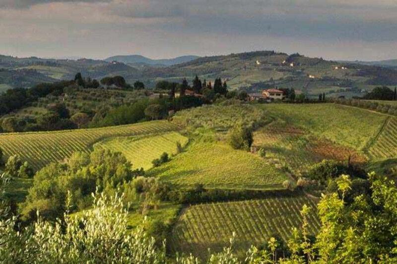 tagAlt.Lazio wine region countryside Cover
