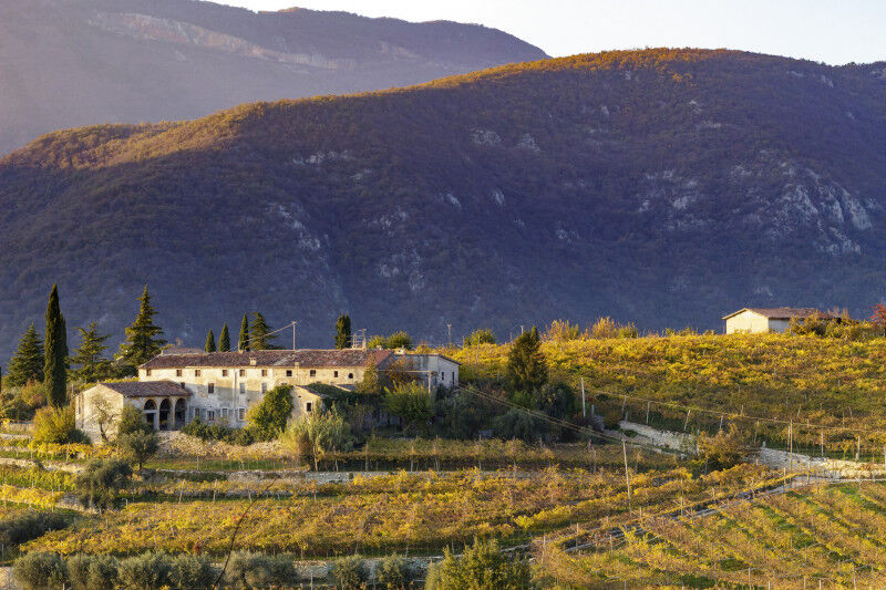 tagAlt.Valpolicella
