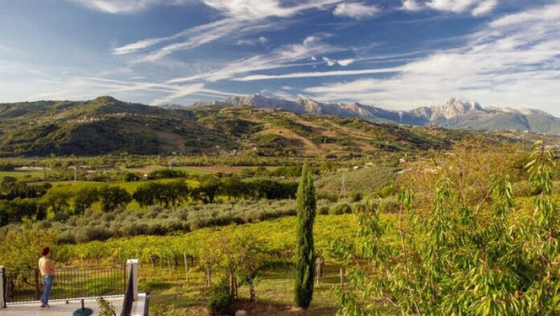 tagAlt.cerulli spinozzi vini