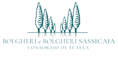 Bolgheri and Bolgheri Sassicaia Wine Consortium